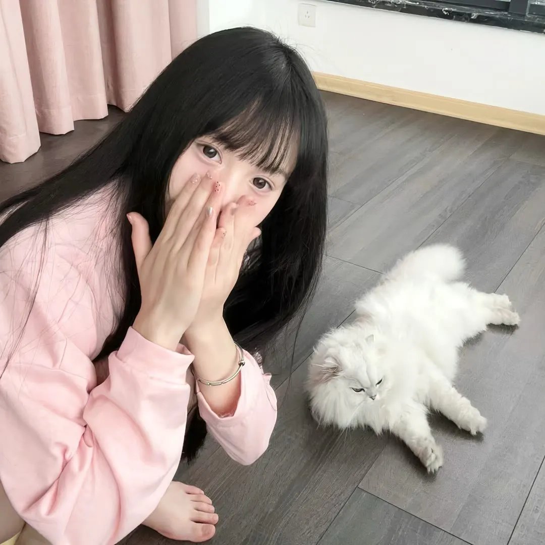 上海惊奇