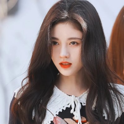 狼与狮子